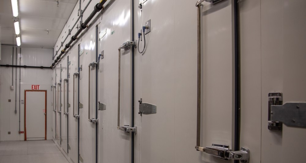 Photograph shows a walkway with multiple doors for environmental chambers.